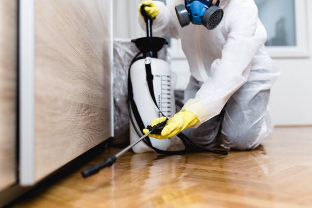 Best Pest Inspection Near Me  in Annandale, NJ