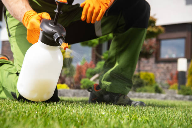 Best Rat Extermination Near Me  in Annandale, NJ