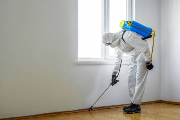 Wildlife Control Services in Annandale, NJ