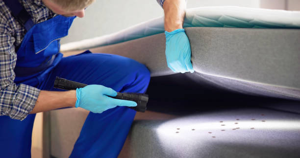 Best Local Pest Control Services  in Annandale, NJ