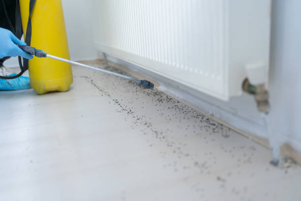  Annandale, NJ Pest Control Pros