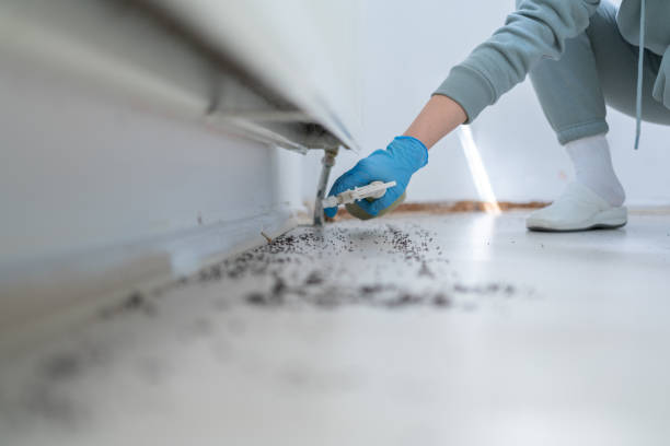 Best Residential Pest Control  in Annandale, NJ